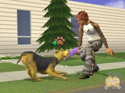 TheSims2 Pets 050