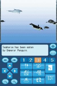 penguin_ate_the_seahorse_jpg_jpgcopy.jpg