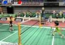 Deca Sports Badminton