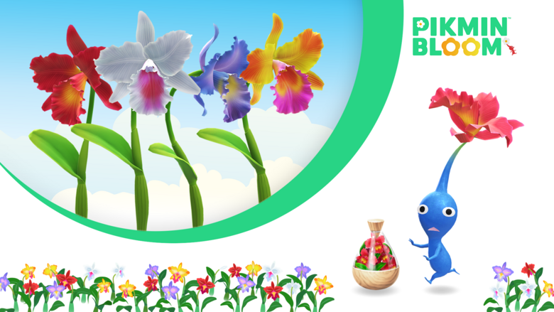 Pikmin Bloom Jan. 2024 Big Flower Forecast, Community Day Date