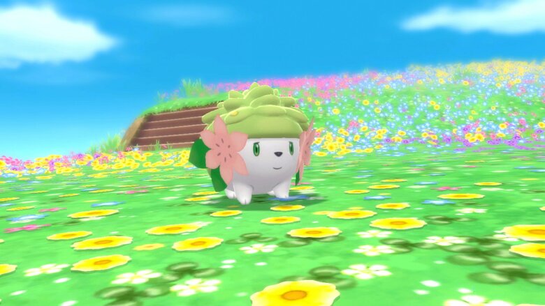 But can you pet the Shaymin?
